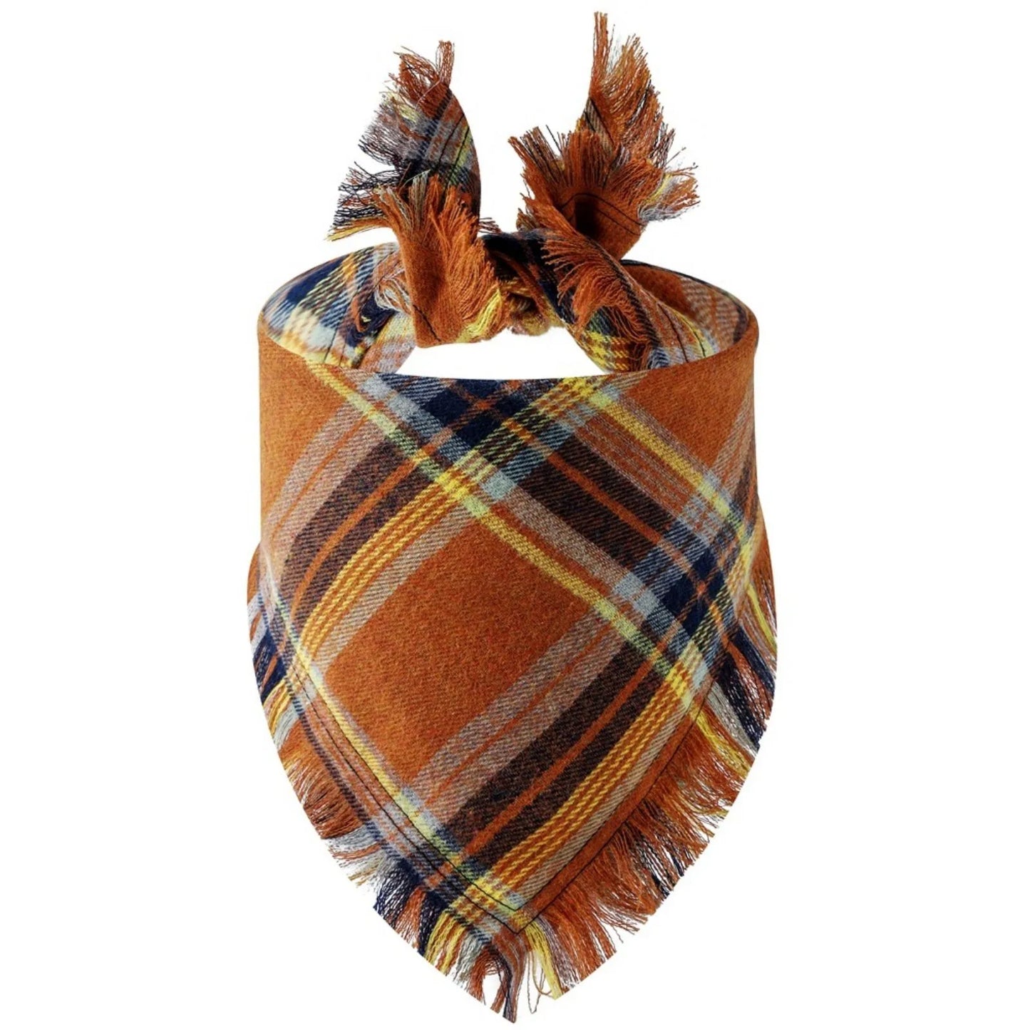 Trendy Classic Plaid Scarf With Tassel Edges