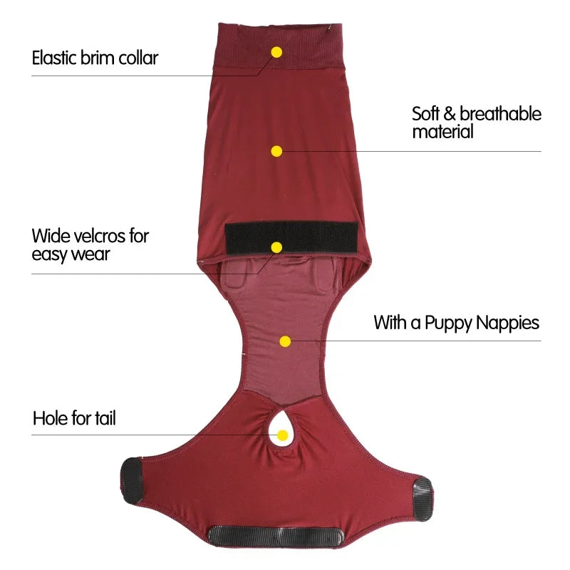 Professional Pet Recovery Suit For After Surgery