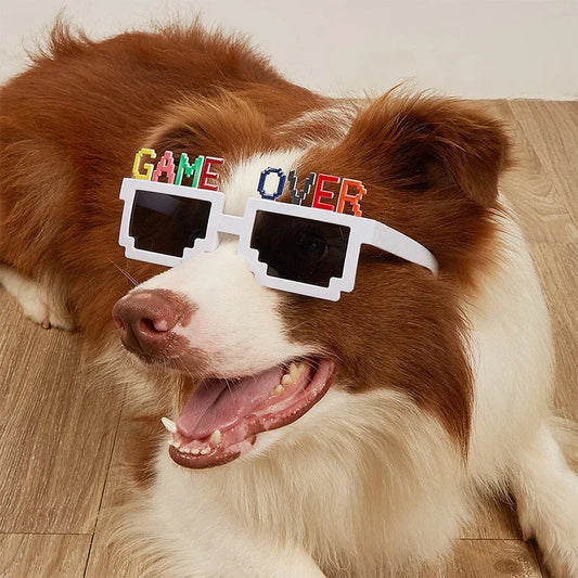 Pet Decoration Glasses, Birthday Party,  Funny, Christmas Gift