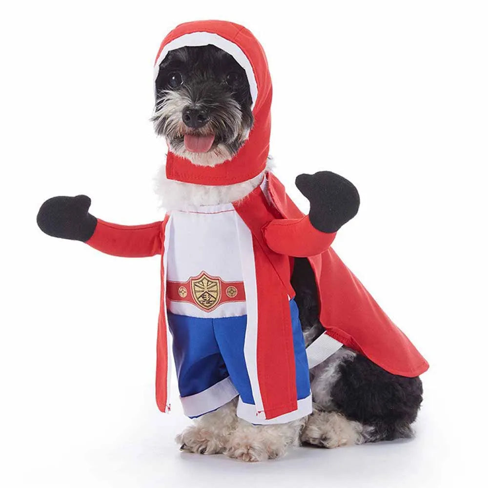 Cute & Funny Halloween Pet Costumes With Hat