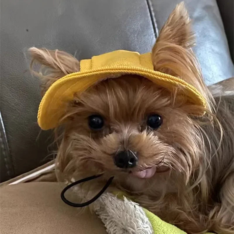 Cute Pet Hat With Ear Hole, Visor