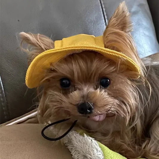 Cute Pet Hat With Ear Hole, Visor