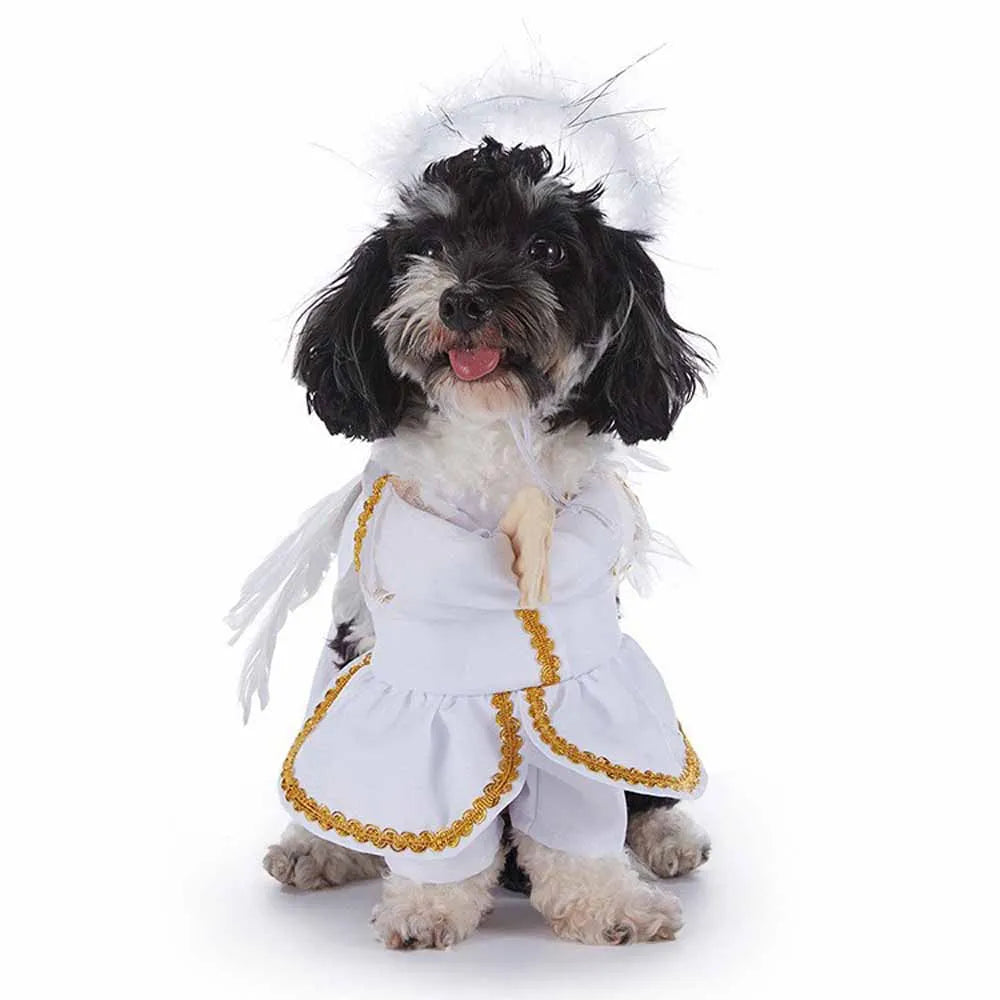 Cute & Funny Halloween Pet Costumes With Hat