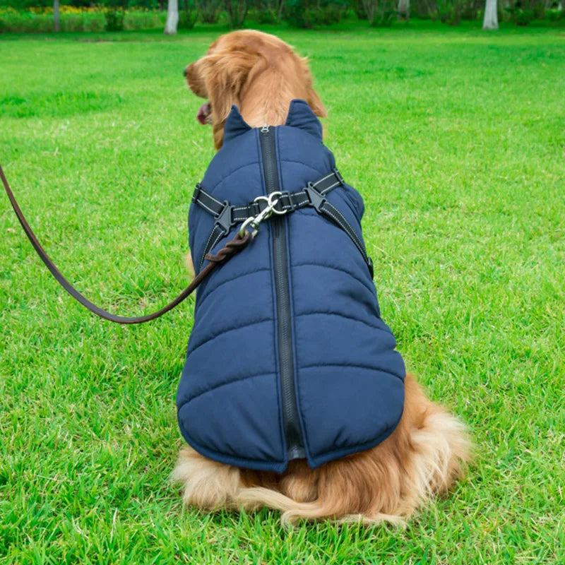 Winter Warm Waterproof Dog Jacket With Harness