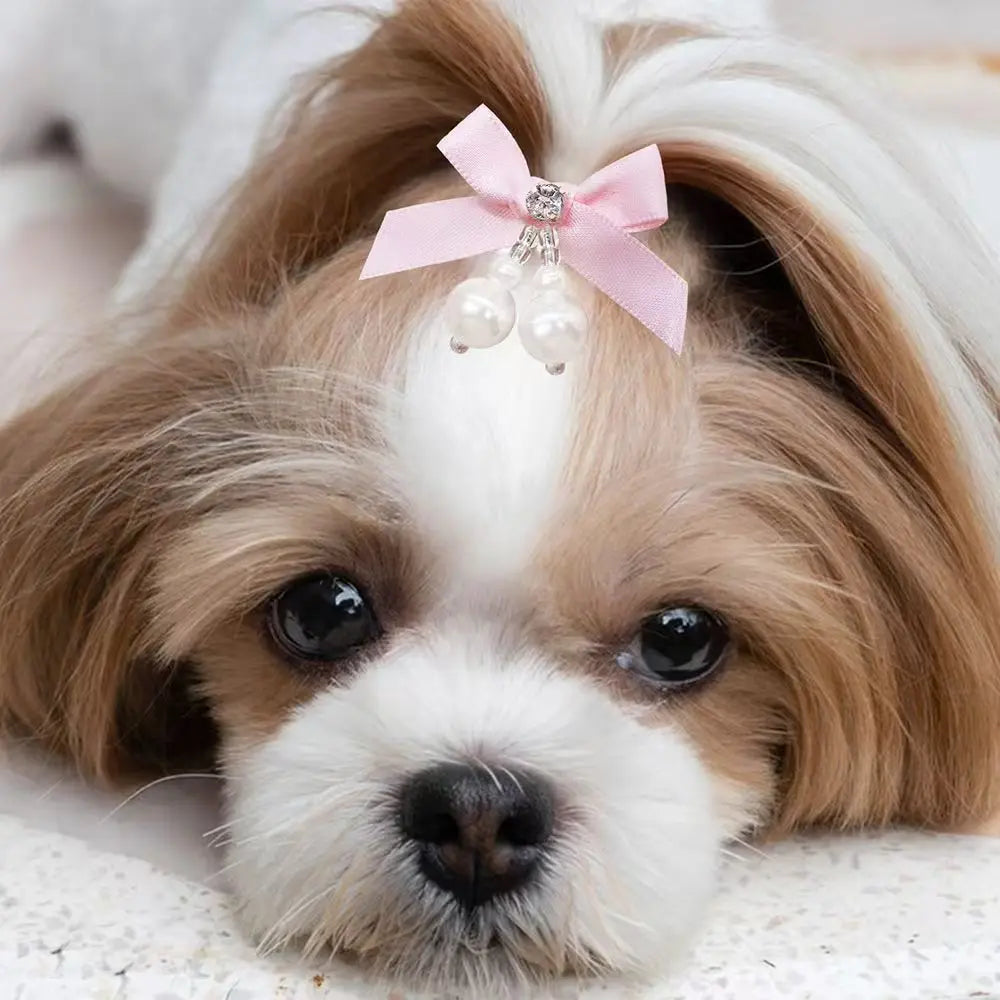 5/10PCS New Diamonds Puppy Bows