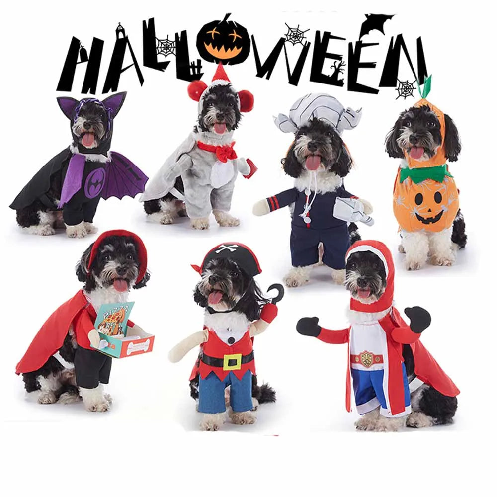 Cute & Funny Halloween Pet Costumes With Hat