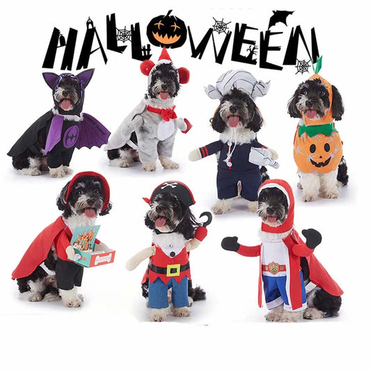 Cute & Funny Halloween Pet Costumes With Hat