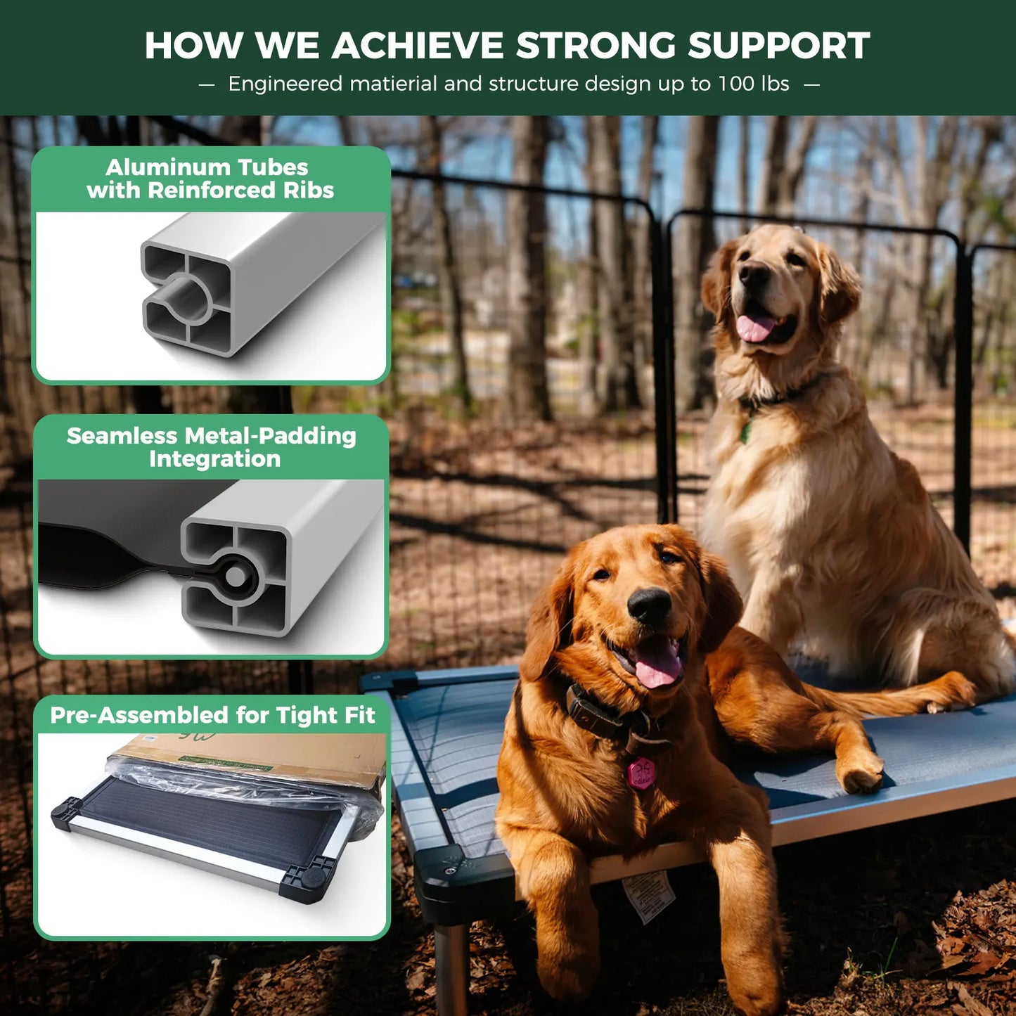 FXW Titanest Padded Dog Bed For Crate