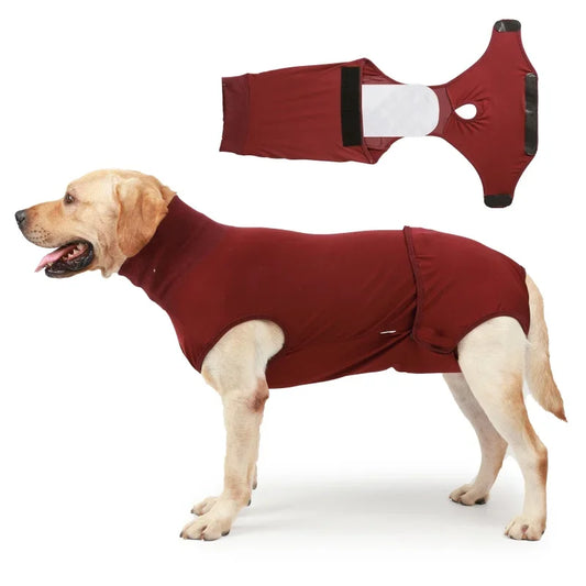Professional Pet Recovery Suit For After Surgery