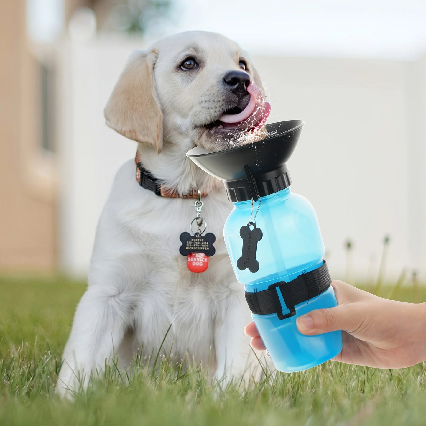 Portable Pet Water Bottle For Travel - Bowl