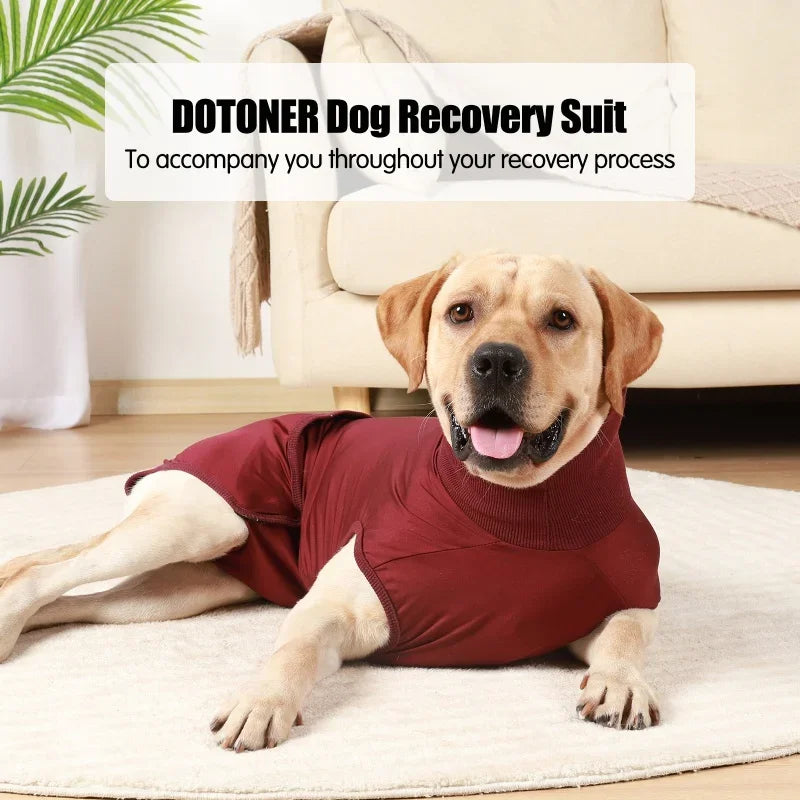 Professional Pet Recovery Suit For After Surgery