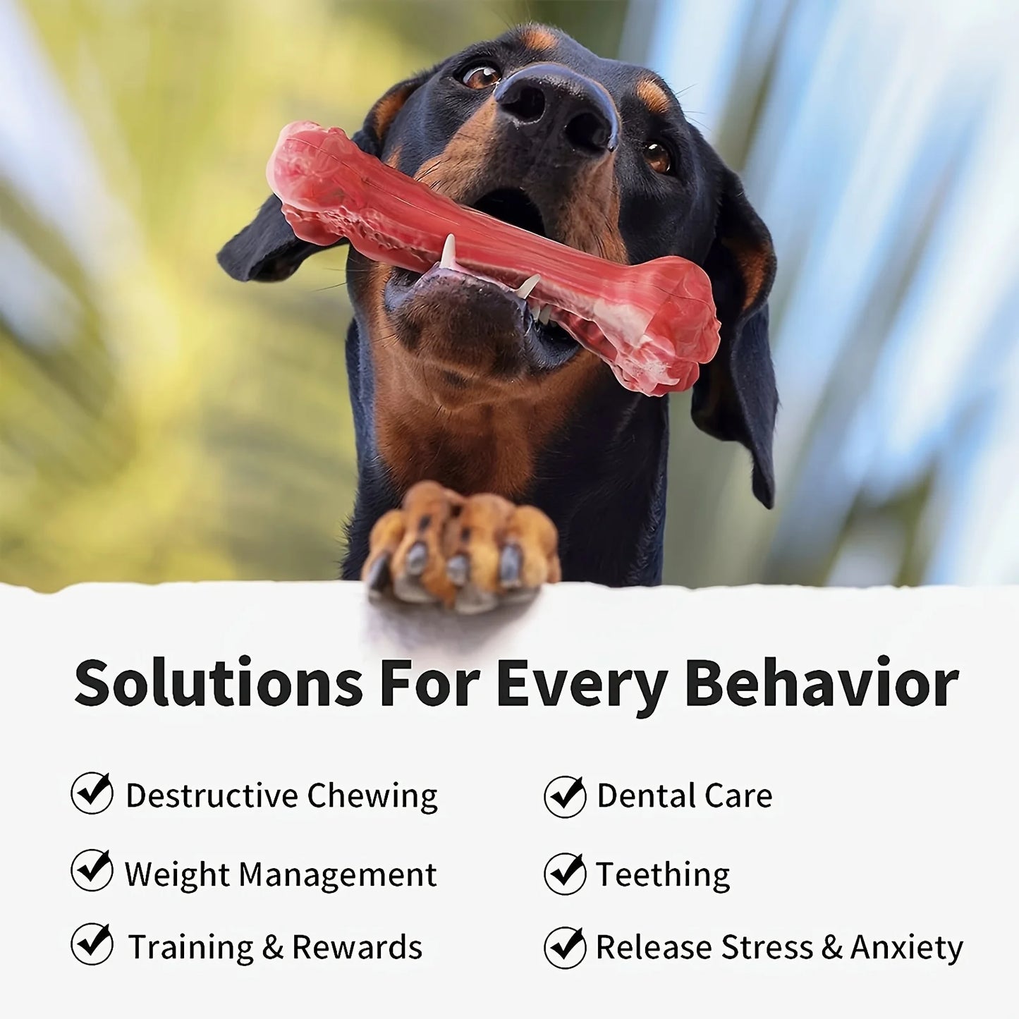 Dog Toys- Powerful Chewers, sturdy, Non-Toxic, Rubber