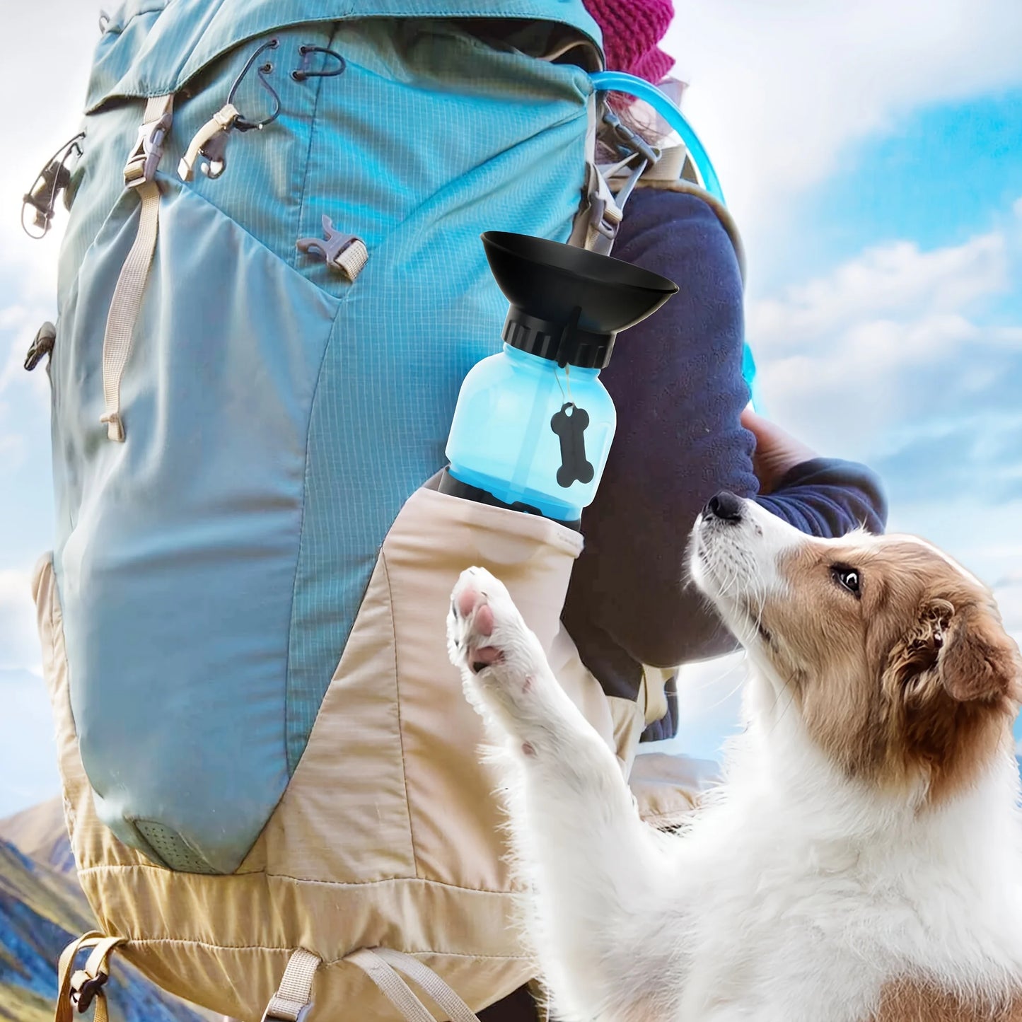 Portable Pet Water Bottle For Travel - Bowl