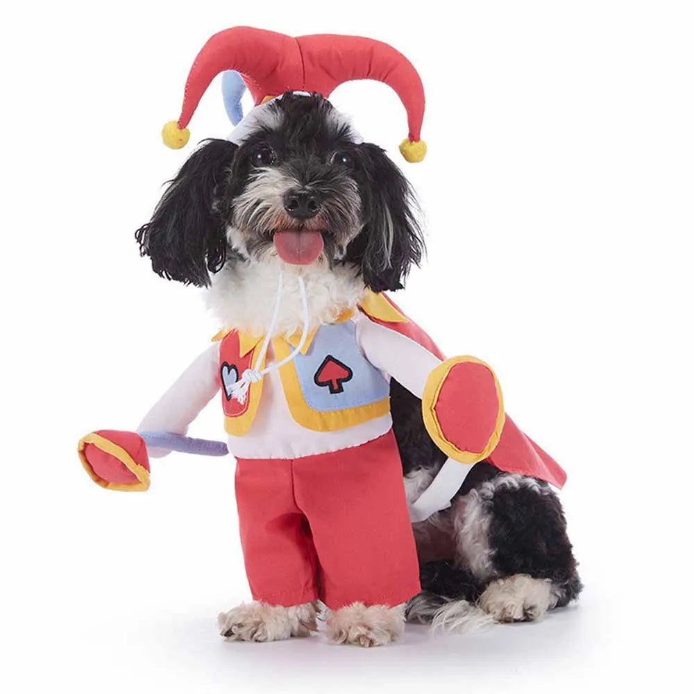 Cute & Funny Halloween Pet Costumes With Hat