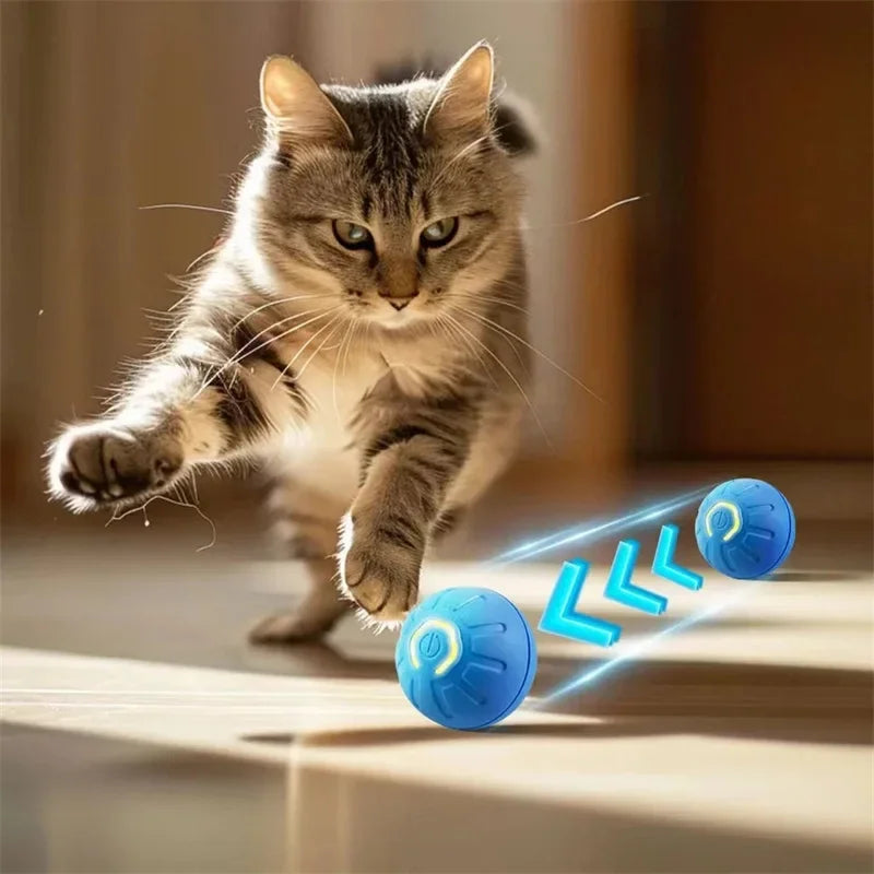 Electronic, Moving, Bouncing Ball For Pets - Automatic