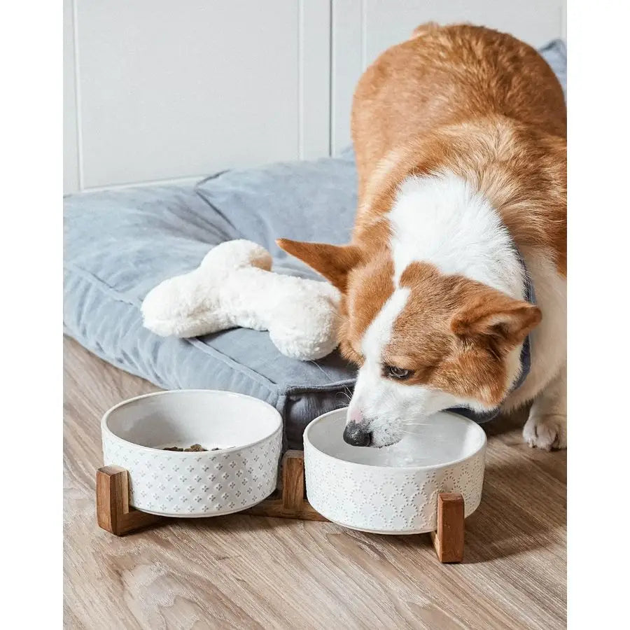 Ceramic Dual Food/Water Bowl Set