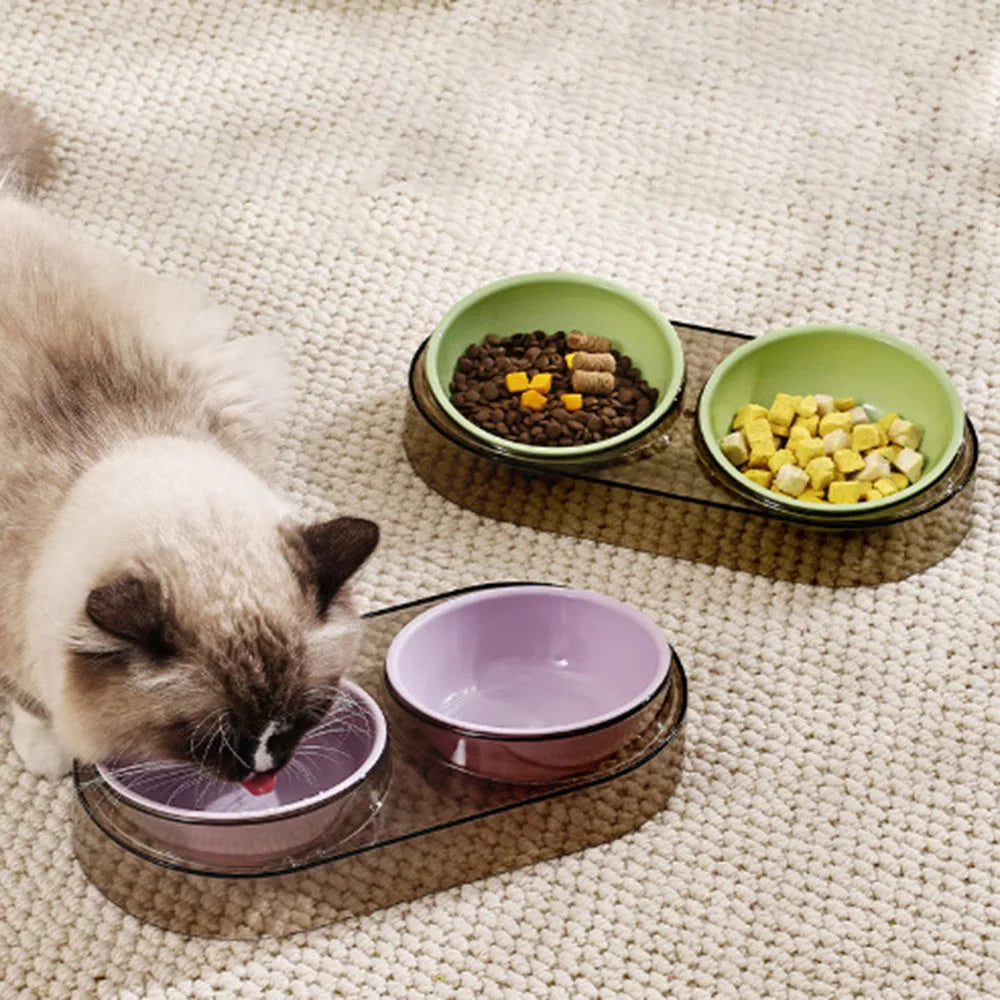 Transparent Pet Neck Protector Double Bowl