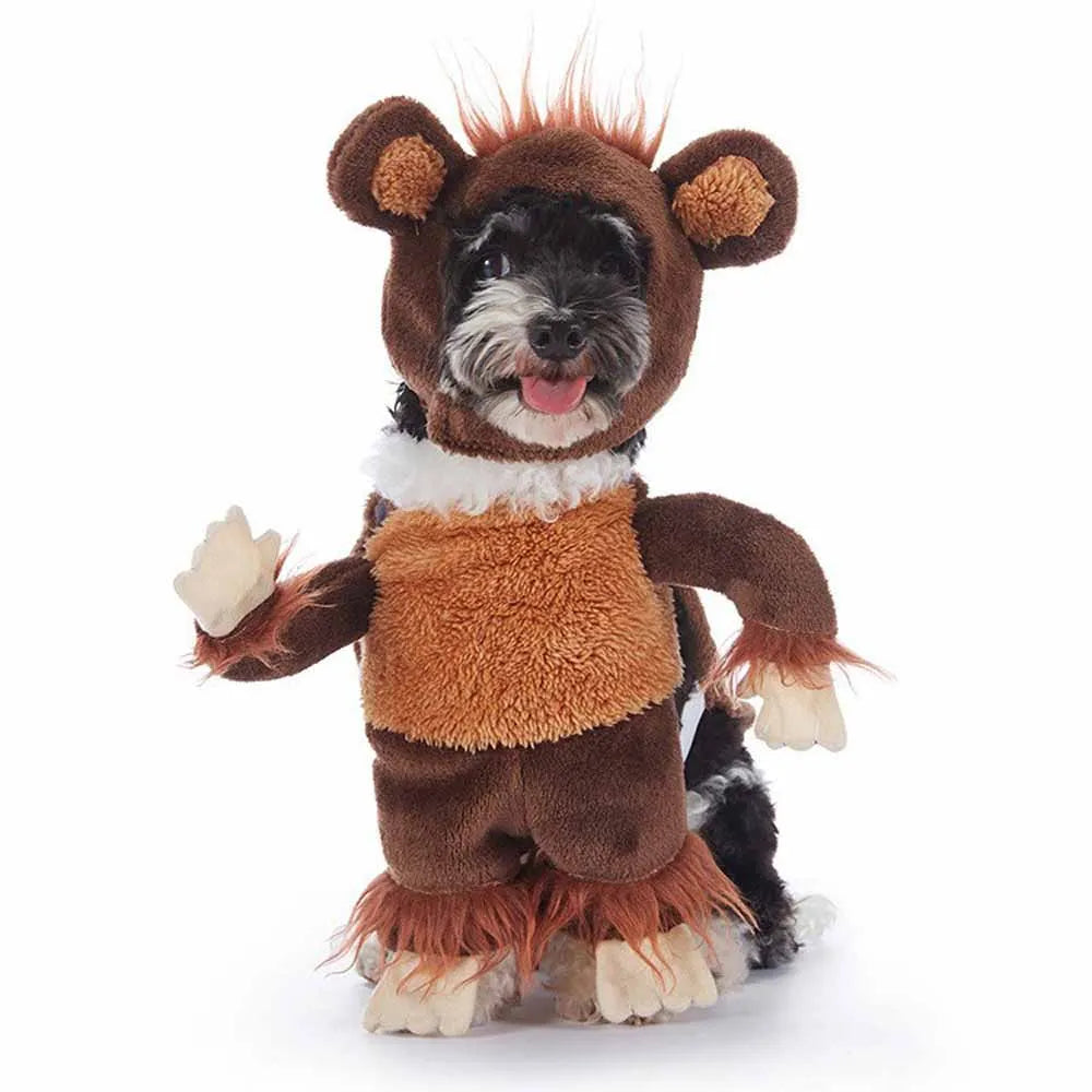 Cute & Funny Halloween Pet Costumes With Hat