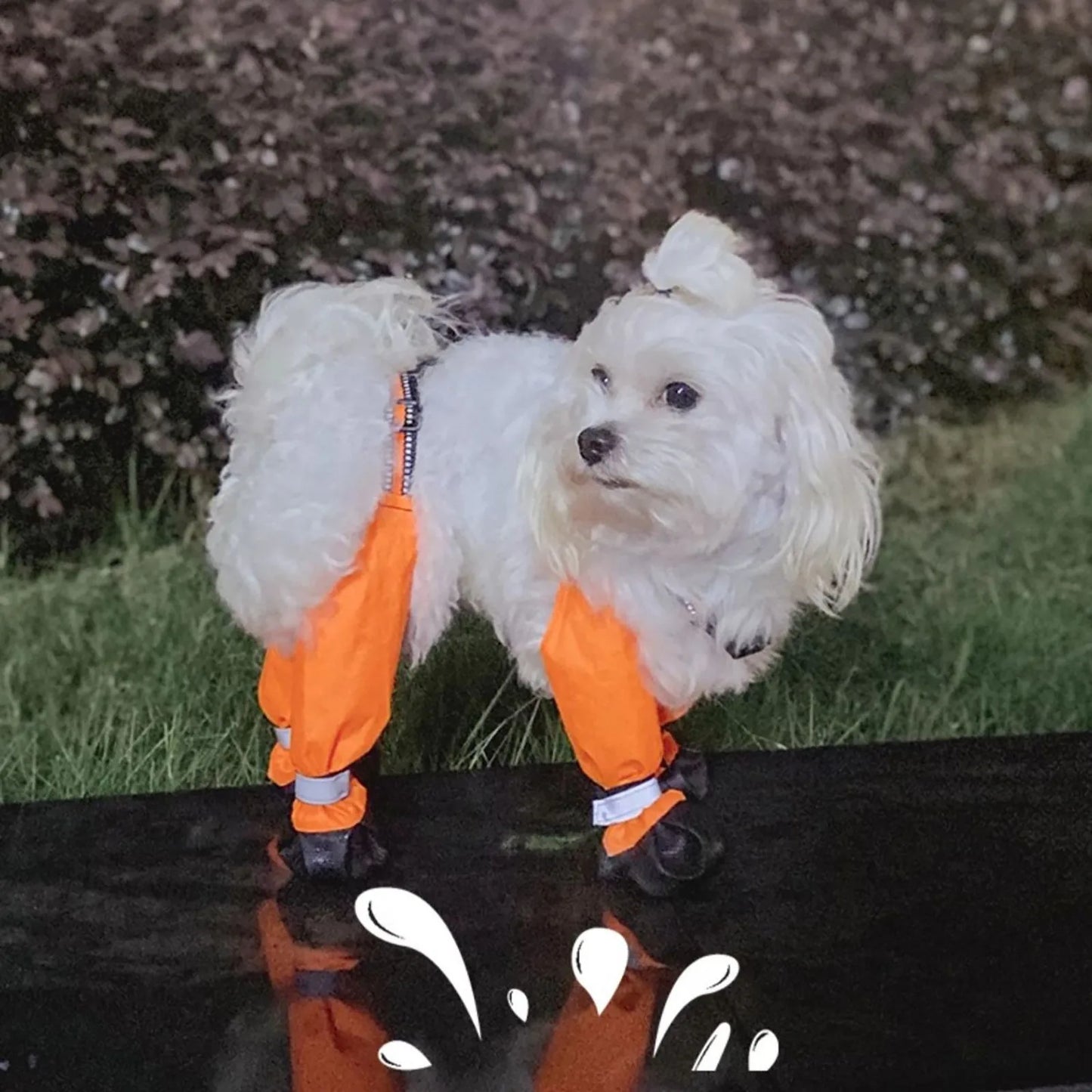 Adjustable Water Proof Dog Shoes With Suspenders