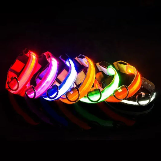 Small Dog Light Collar Leash - Training, Support