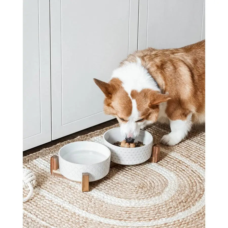 Ceramic Dual Food/Water Bowl Set
