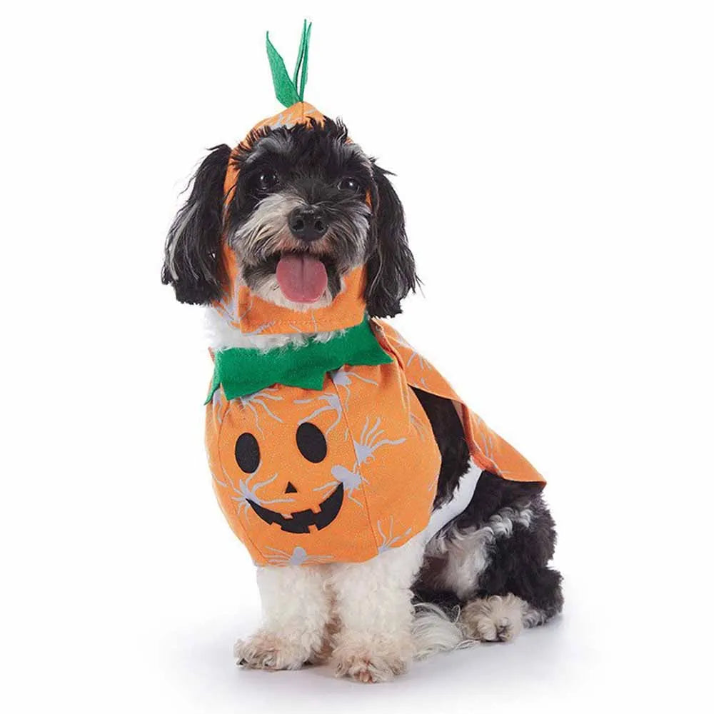 Cute & Funny Halloween Pet Costumes With Hat