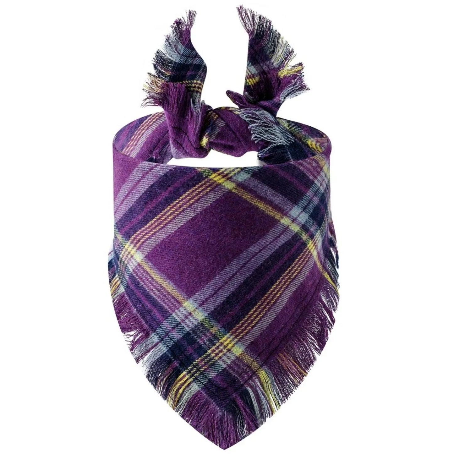 Trendy Classic Plaid Scarf With Tassel Edges