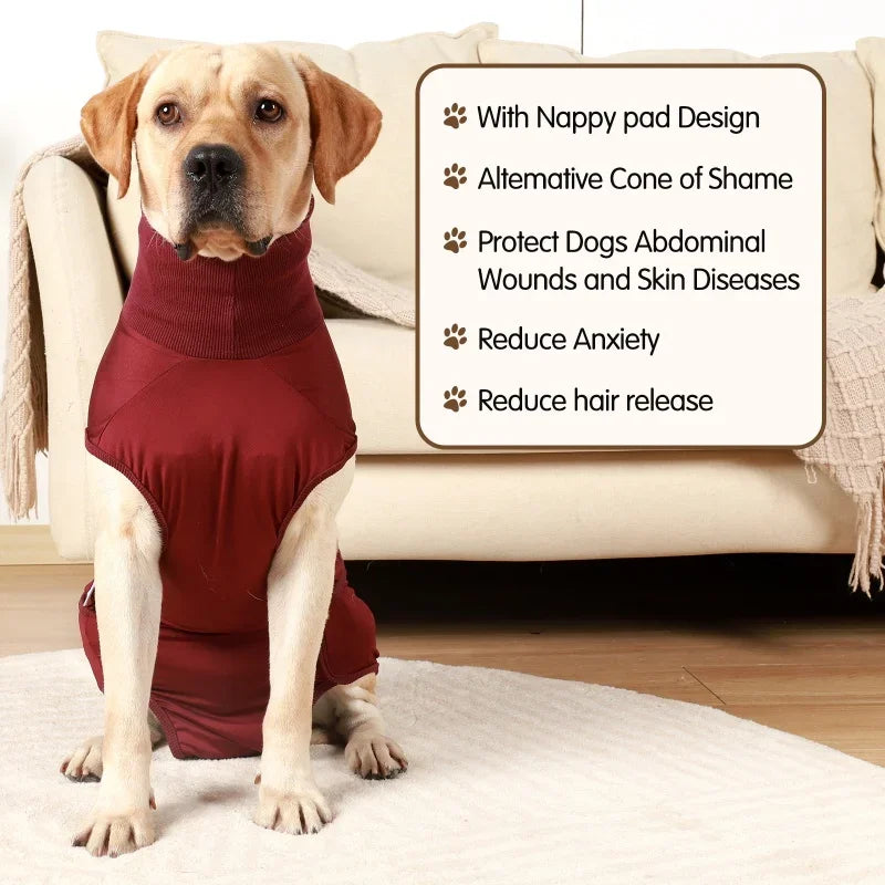 Professional Pet Recovery Suit For After Surgery