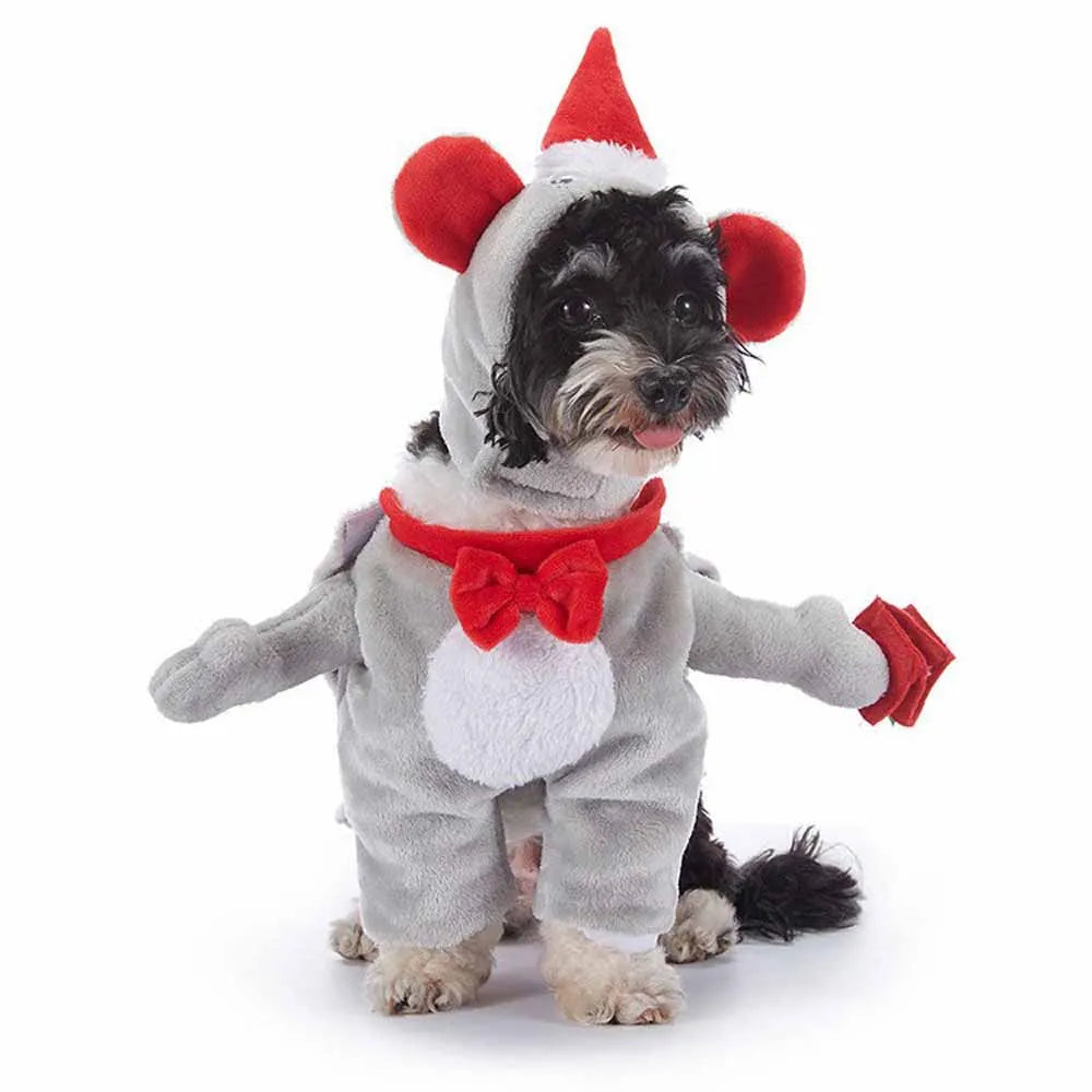 Cute & Funny Halloween Pet Costumes With Hat