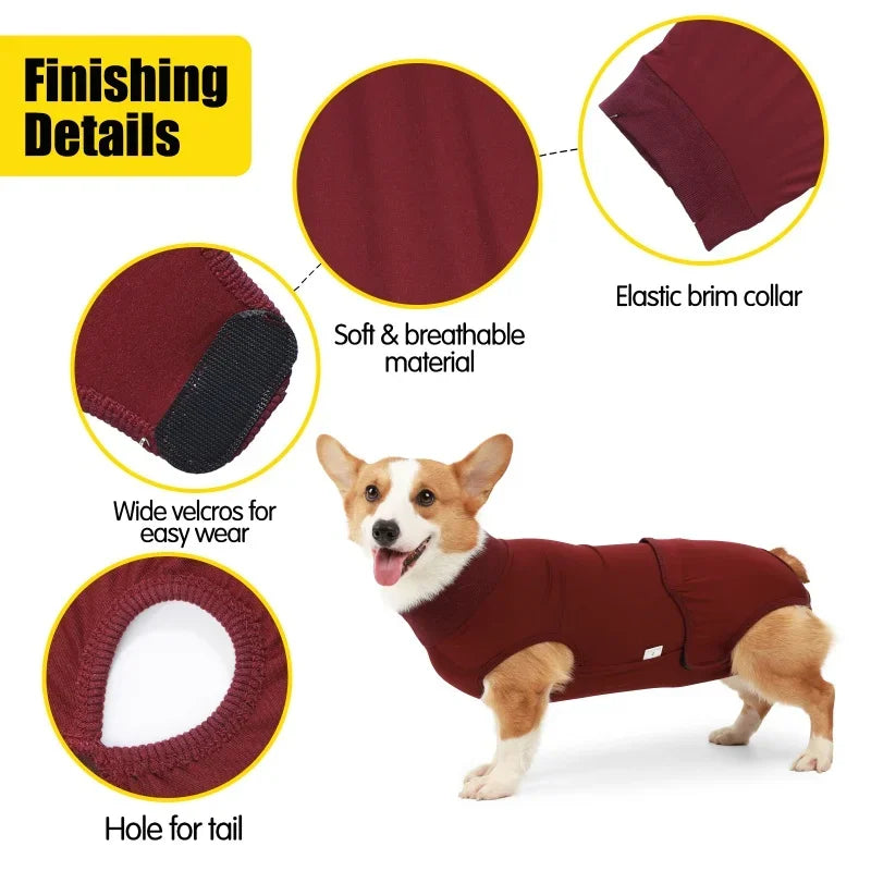 Professional Pet Recovery Suit For After Surgery