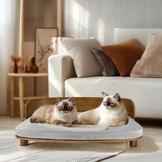 Small Elevated Pet Bed With Wooden Couch
