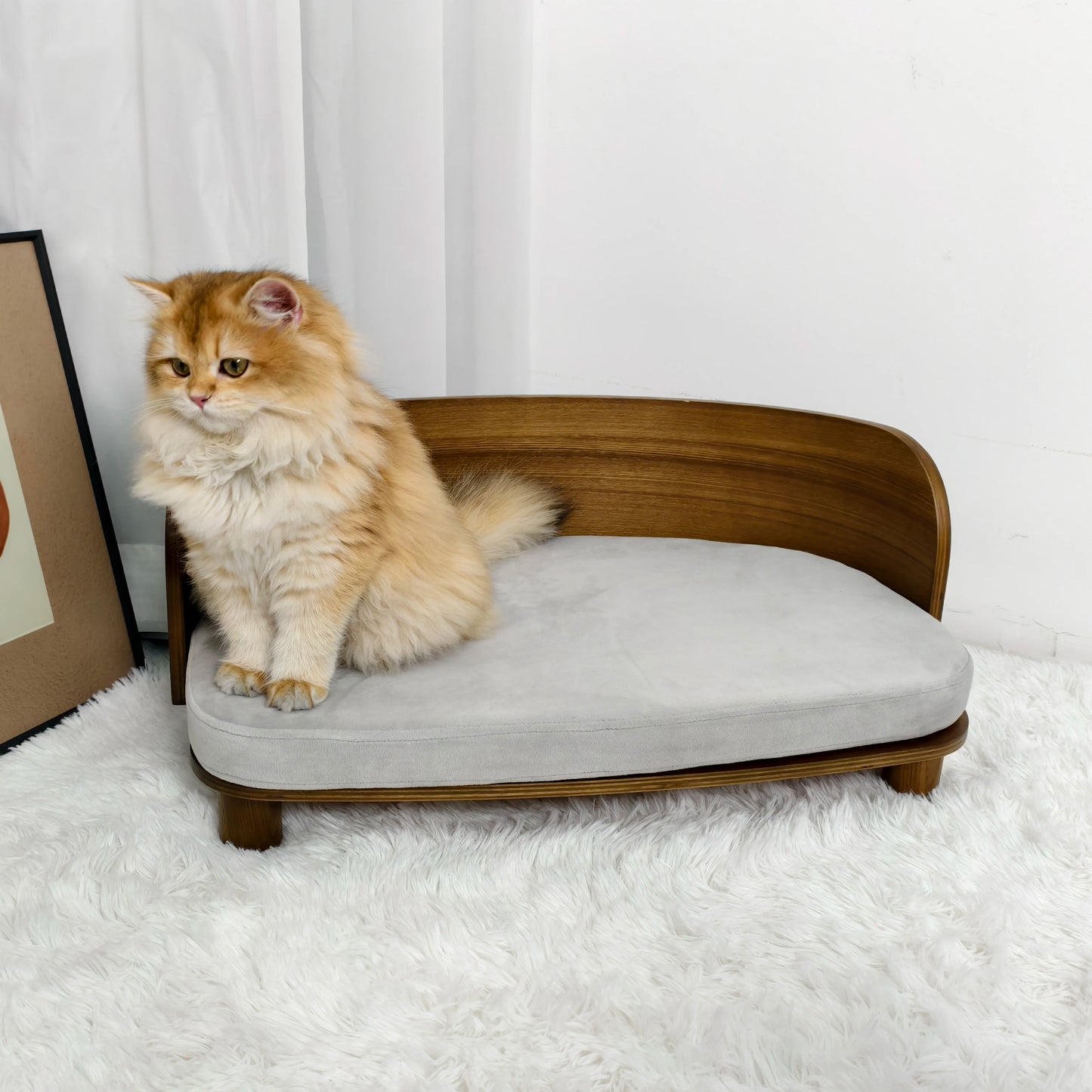 Small Elevated Pet Bed With Wooden Couch
