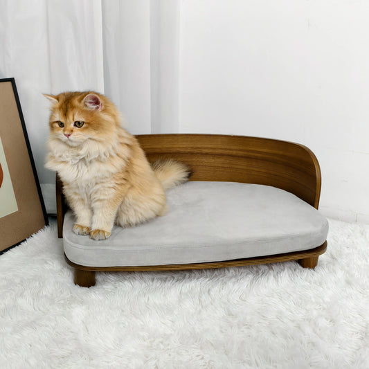 Small Elevated Pet Bed With Wooden Couch