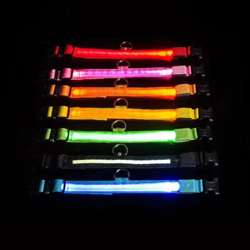 Small Dog Light Collar Leash - Training, Support
