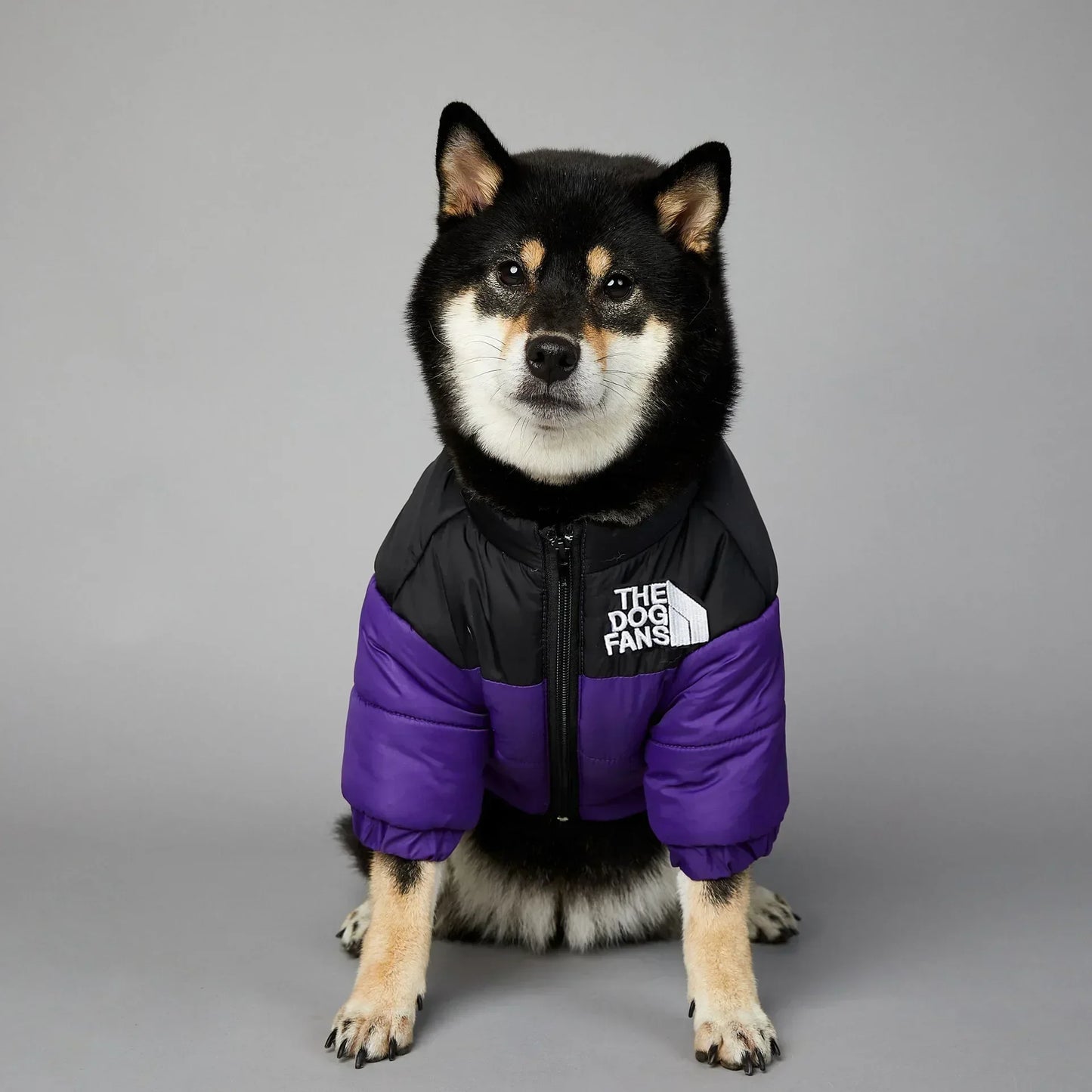 Winter Vest Jacket For Dogs - Warm
