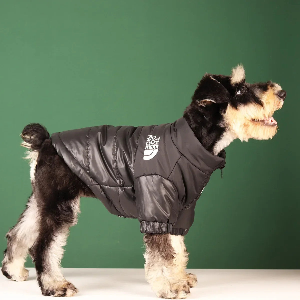 Large Winter Windproof Jacket For Small, Medium Dogs
