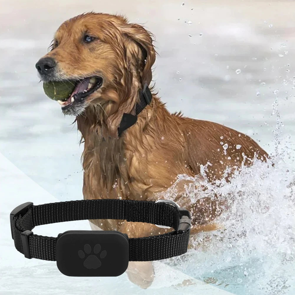 Pet GPS Tracker With Adjustable Collar