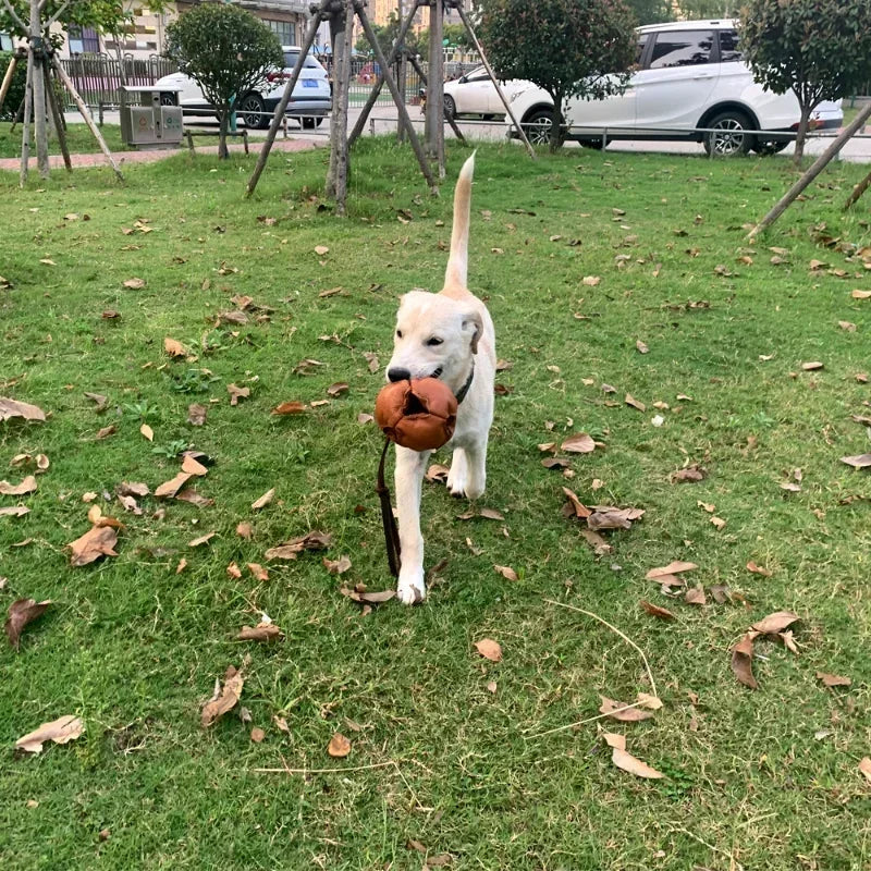 Leather Dog Ball Toy With Handle