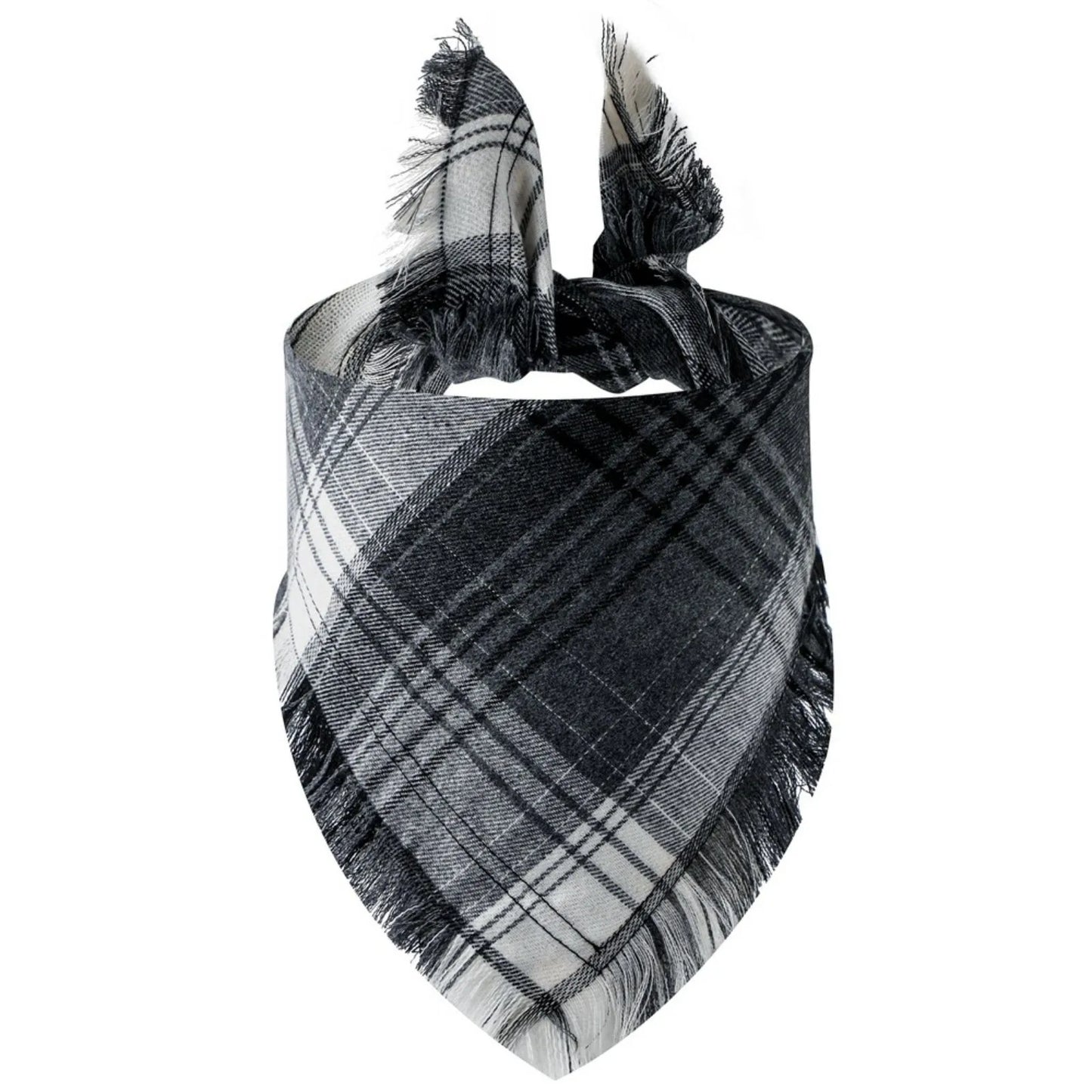 Trendy Classic Plaid Scarf With Tassel Edges