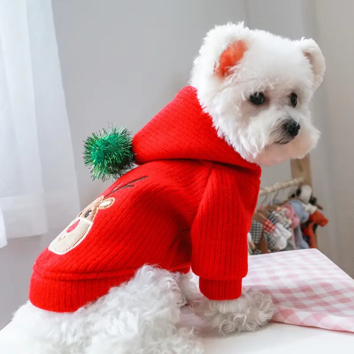 Warm Winter Christmas Skirt Dress For Small Dogs