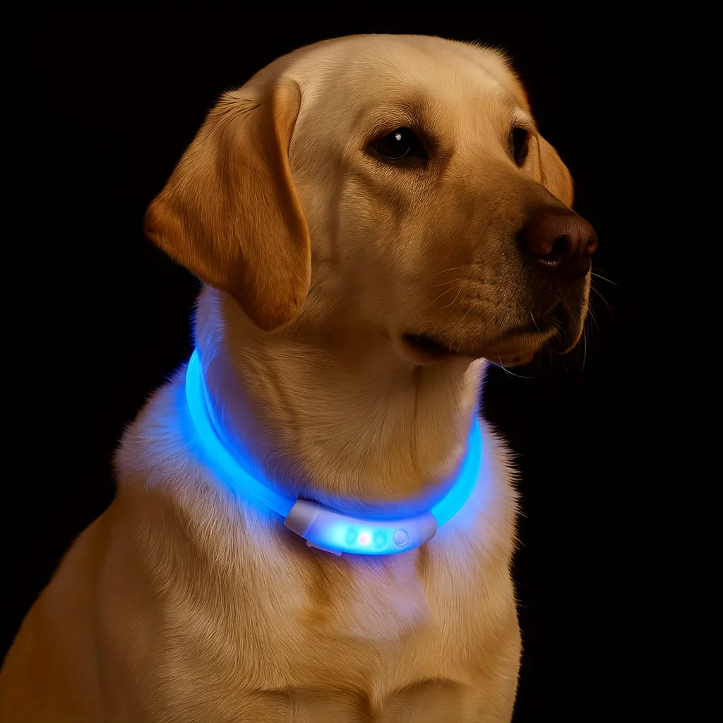 3 Mode Adjustable Glowing Dog Collar - Rechargeable