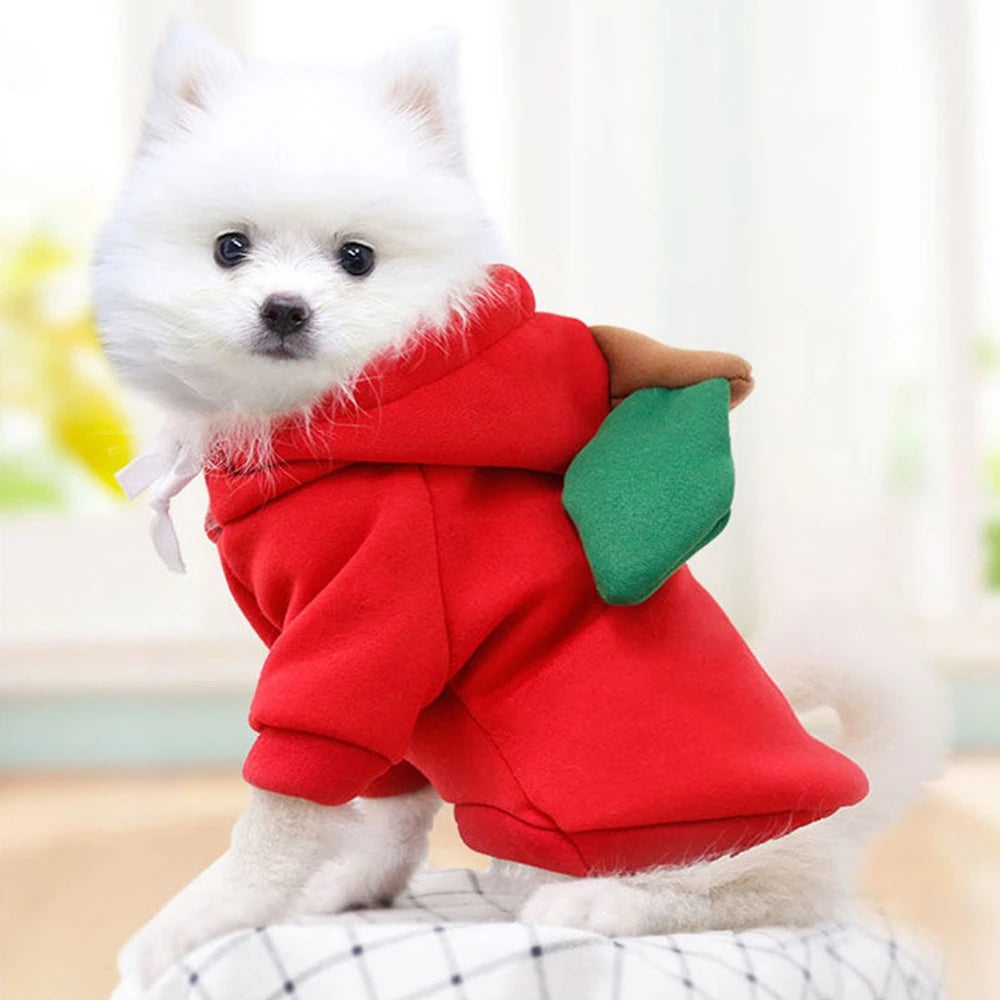 Cute Fruit Hooded Dog Costume for Small Pets