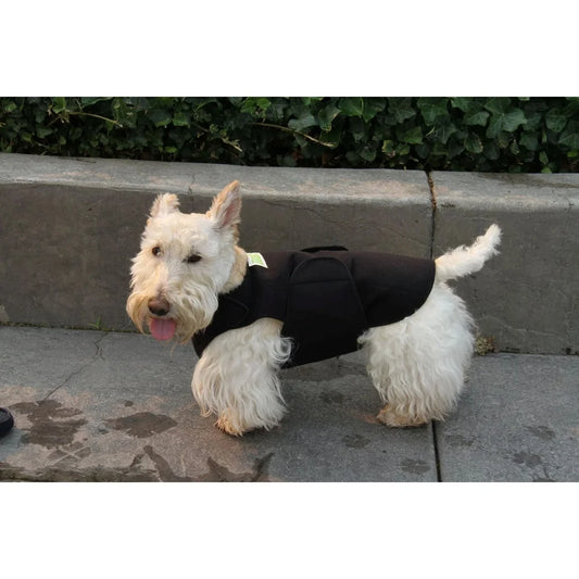 Small Dog Anxiety Body Vest - Comfort, Calm, Breathable