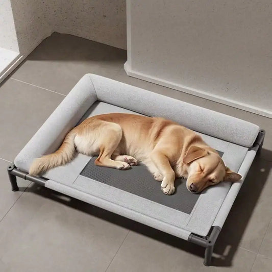 1 Piece Marching Moisture-Proof Pet Bed