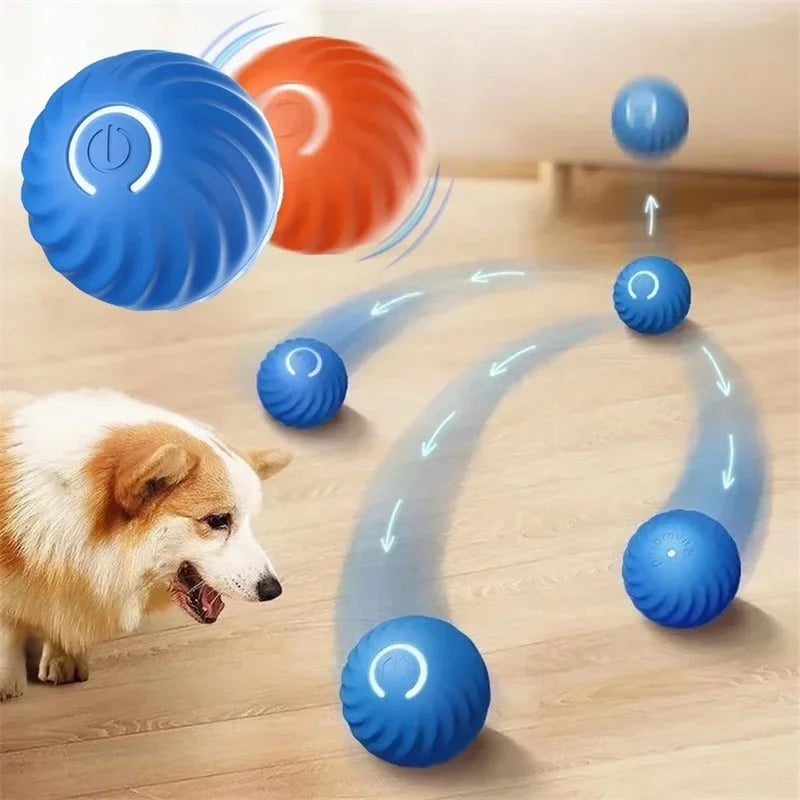Electronic, Moving, Bouncing Ball For Pets - Automatic