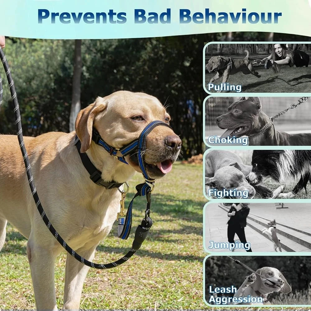 Face Harness Leash For Aggressive Dogs - Walking, Stop Pulling