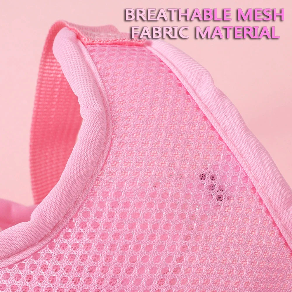 Cute Breathable Butterfly Dog Harness For Small Dogs